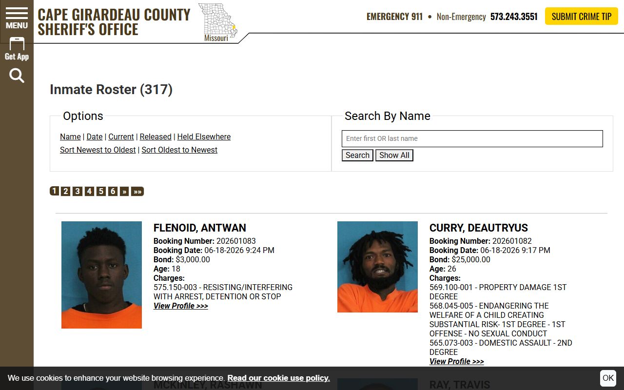 Cape Girardeau County inmate roster current custody records